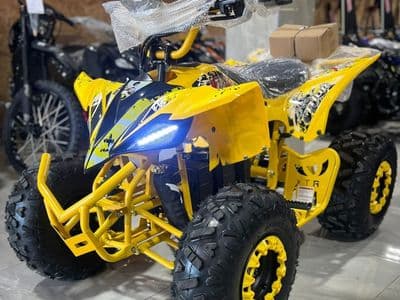 XTR 1000 48V