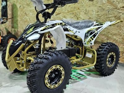 Extreme Rider EX-Pro 36V