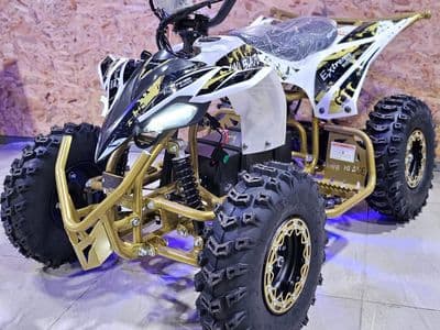 Extreme Rider EX-Pro 36V