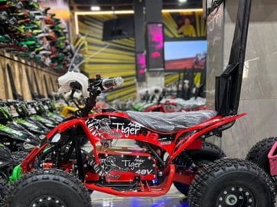 טייגר 19