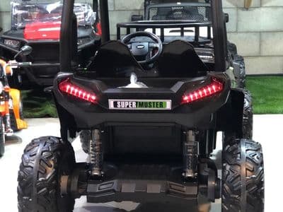 פולריס RZR 24V - ירוק