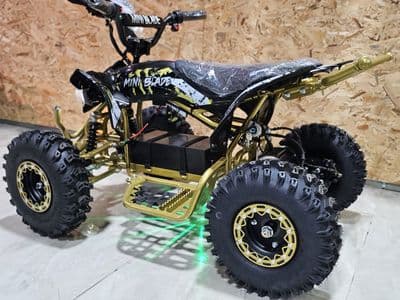Extreme Rider EX-Pro 36V