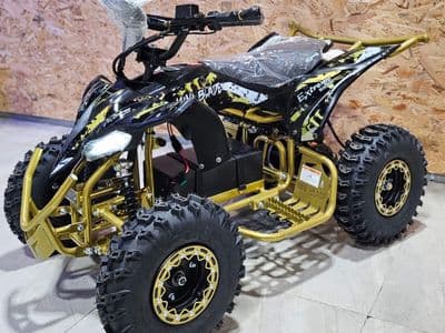 Extreme Rider EX-Pro 36V
