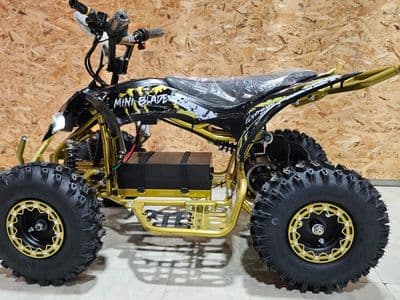 Extreme Rider EX-Pro 36V