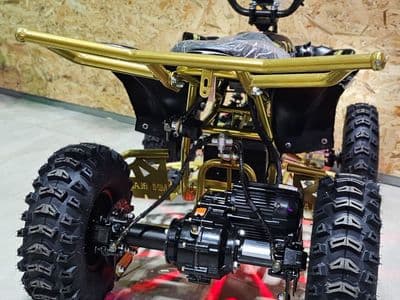 Extreme Rider EX-Pro 36V