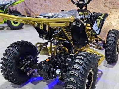 Extreme Rider EX-Pro 36V