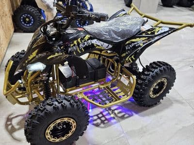Extreme Rider EX-Pro 36V