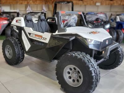 UTV 4X4 24V